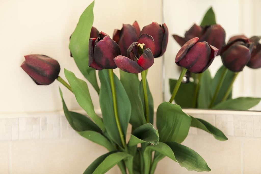 Dublin Vacation Rentals Екстериор снимка